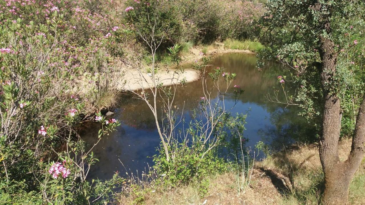 Agroturismo Flores Do Campo Villa Vila Verde de Ficalho Екстериор снимка