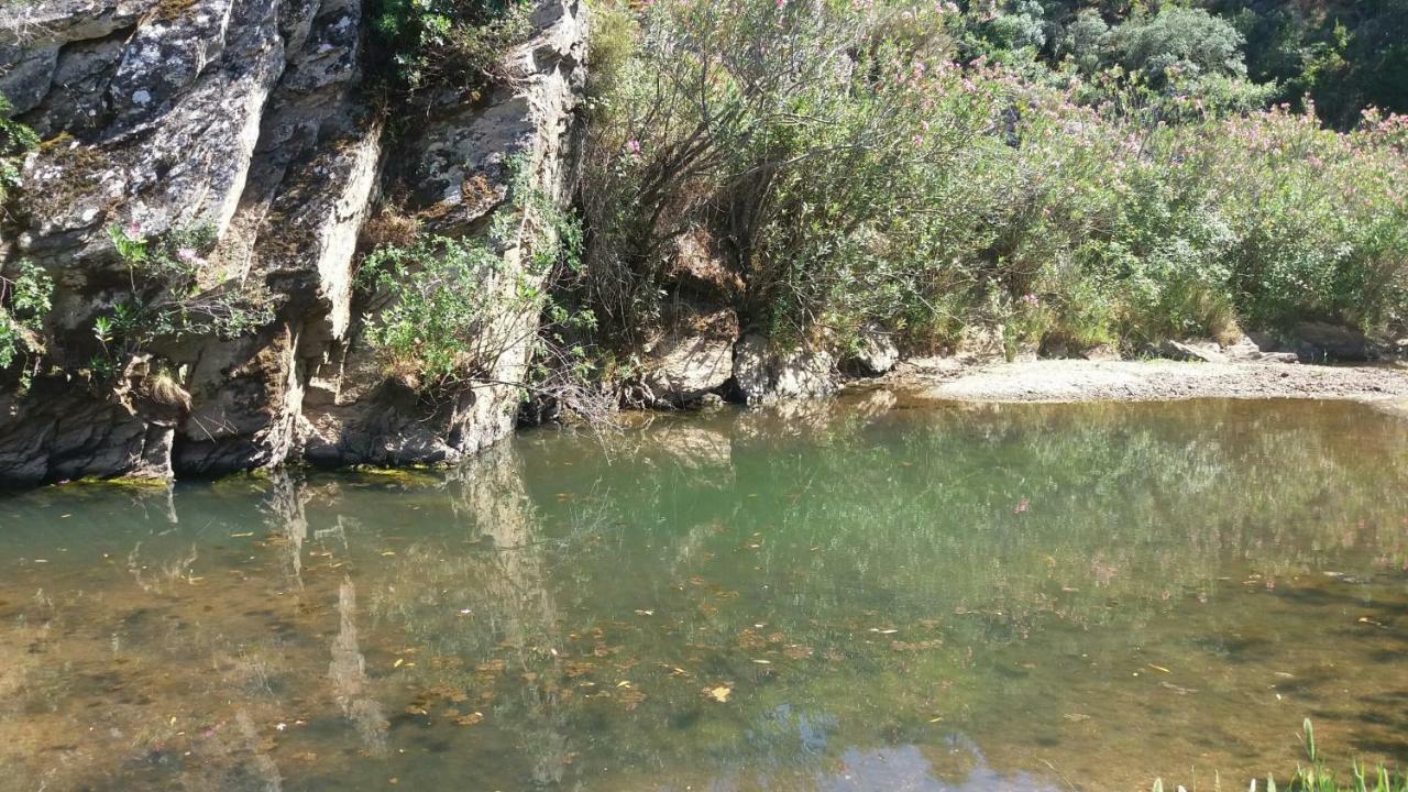 Agroturismo Flores Do Campo Villa Vila Verde de Ficalho Екстериор снимка